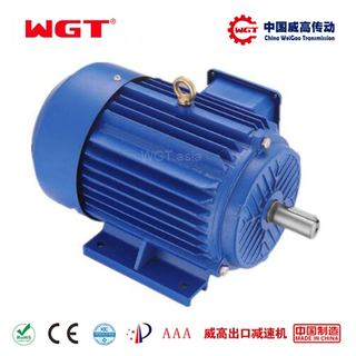 YEJ系列铜线绕三相电动机 制动电机 中国威高 WGT严选
